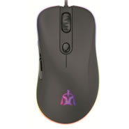 G33